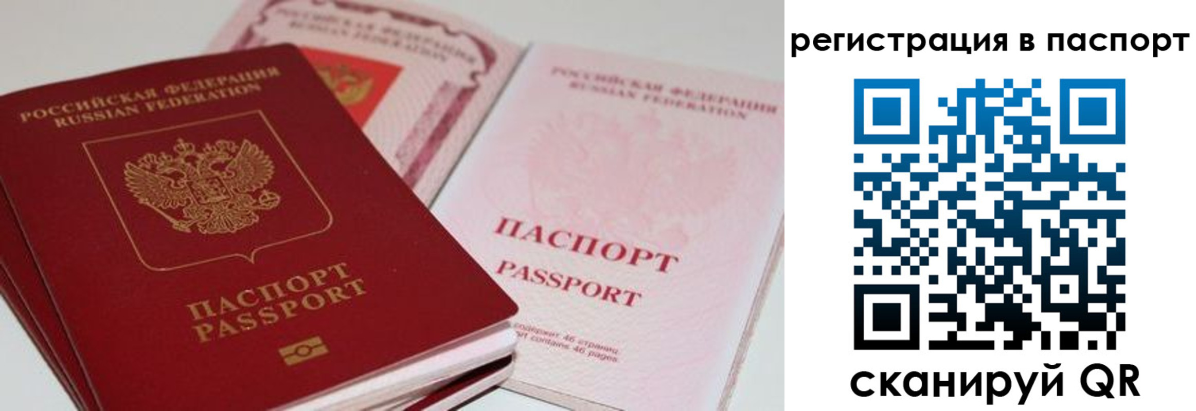 найти адрес прописки в Бийске